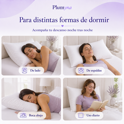 Almohada Visco Nube Pack x2