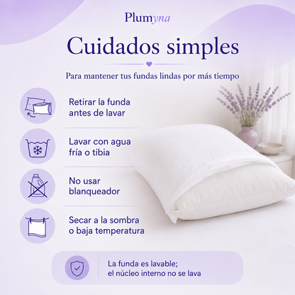 Almohada Visco Nube Pack x2